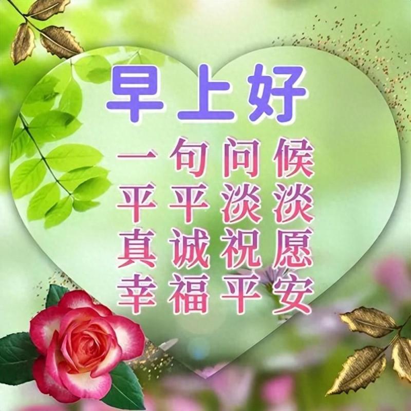 早上好的暖心句子（早晨问候的暖心短句）