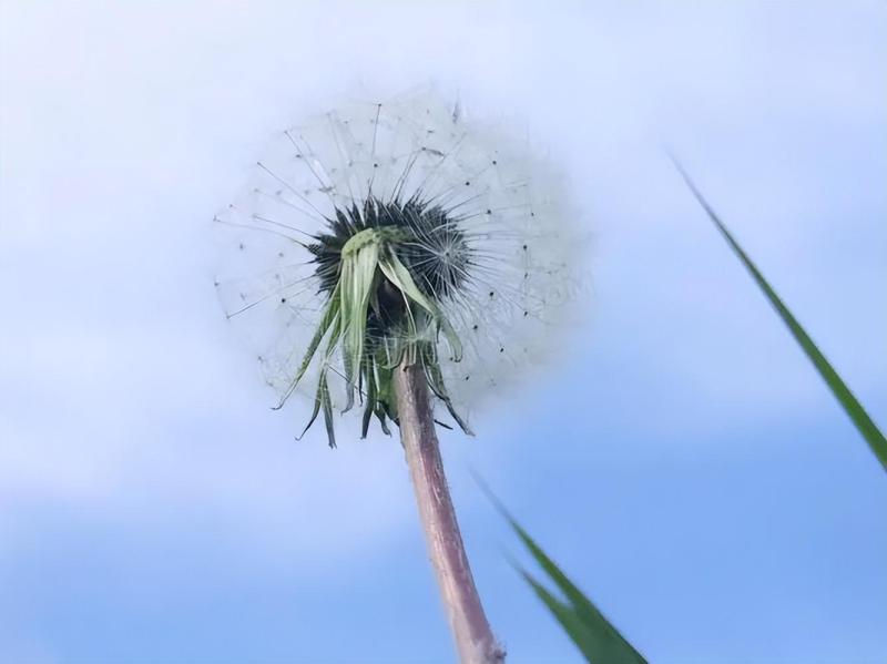 疲惫的一天朋友圈说说（一天工作疲惫经典句子）