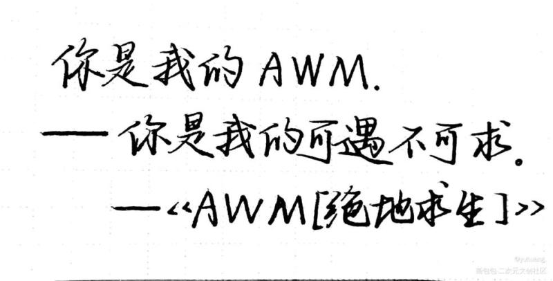 女生给男生备注awm是什么意思（AWM的爱情含义）