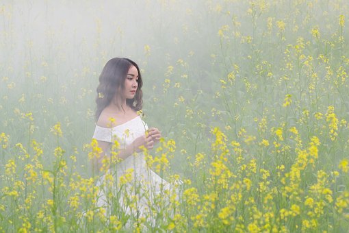 肖像, 女孩, 多雾路段, 花朵, 美丽, 投标, 亚洲人, 日本人, 薄雾