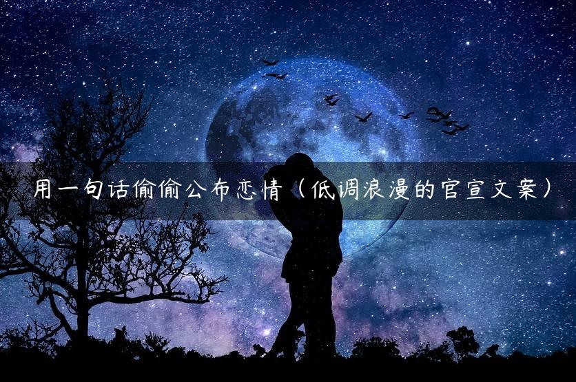 用一句话偷偷公布恋情（低调浪漫的官宣文案）