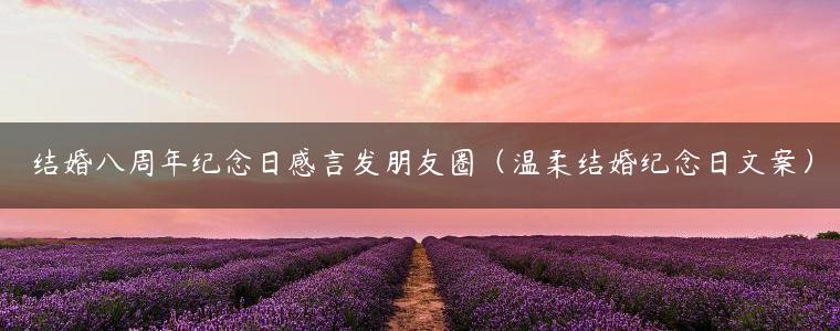 结婚八周年纪念日感言发朋友圈（温柔结婚纪念日文案）