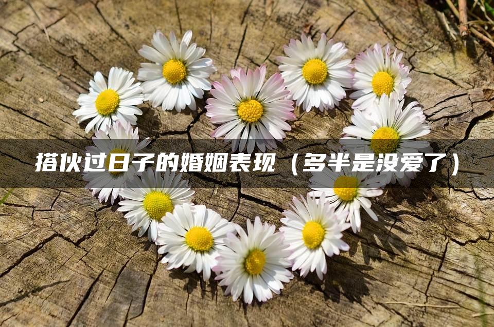 搭伙过日子的婚姻表现（多半是没爱了）