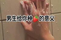 男生种草莓的时候女生该干嘛（男生喜欢种草莓的原因）