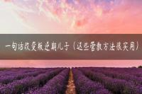 一句话改变叛逆期儿子（这些管教方法很实用）