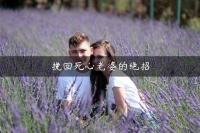 挽回死心老婆的绝招